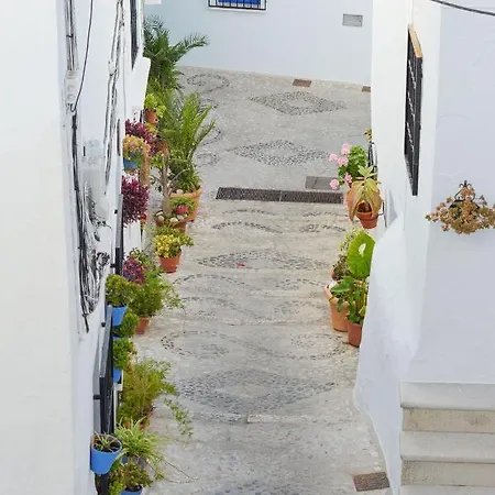 Casa Rosario, Large Historic Townhouse With Amazing Roof Terrace Hansonholiday *